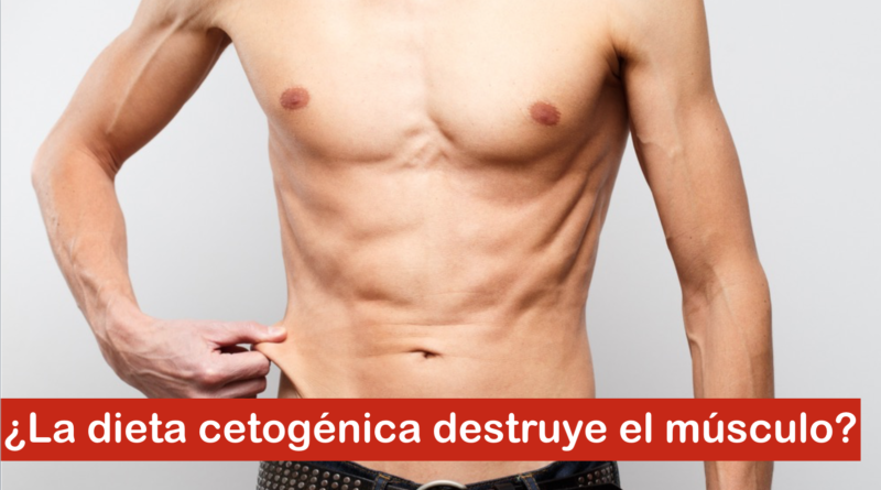 ¿La dieta cetogénica destruye el músculo?